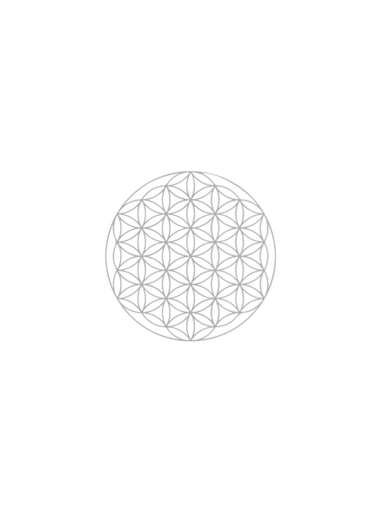 Line illustration of the sacred Flower of Life symbol representing unity and creation.