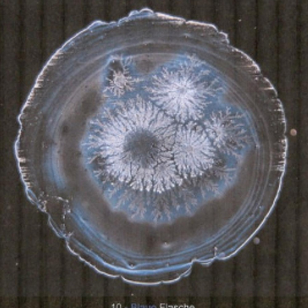 Crystalline flower structure formed by Flaska glass water bottle in Evapo Image test, demonstrating the benefits of structured water with vibration programmed TPS technology