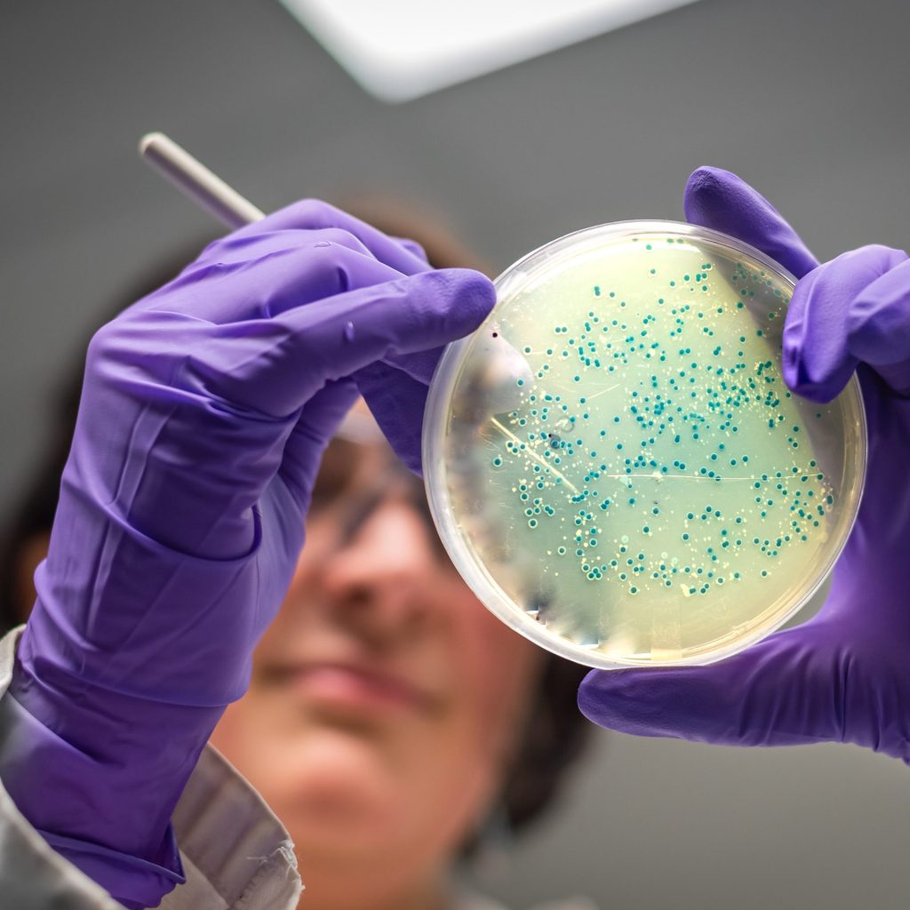 Scientist at Berthet Microbiology Laboratory analyzing structured water from Flaska glass bottle using MicrotoxO test to observe impact on harmful bacteria like E. coli and Enterococcus